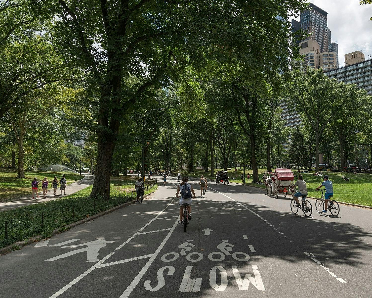 New York: Bike Rental - Photo 1 of 2